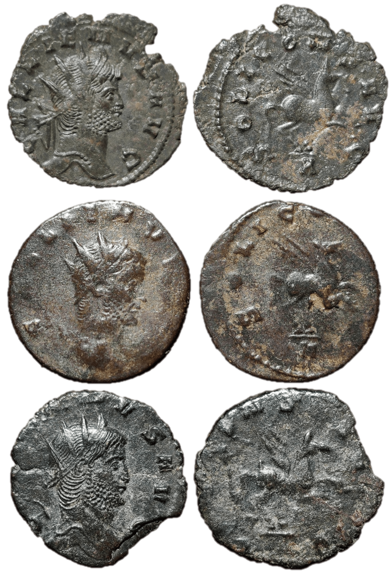 gallienus pegasus-min.png