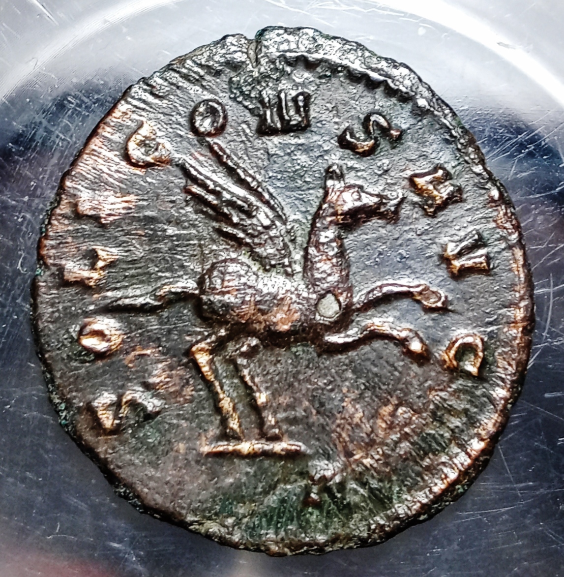 Gallienus Pegasus new Rev..jpg
