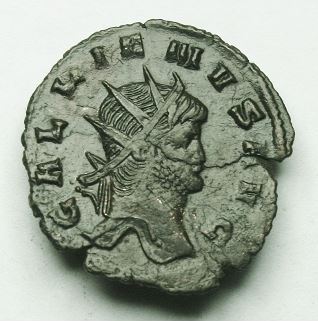 gallienus pegasus obv.JPG