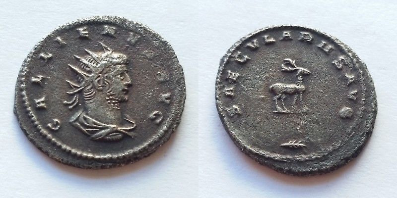 Gallienus saeculares avg.jpg