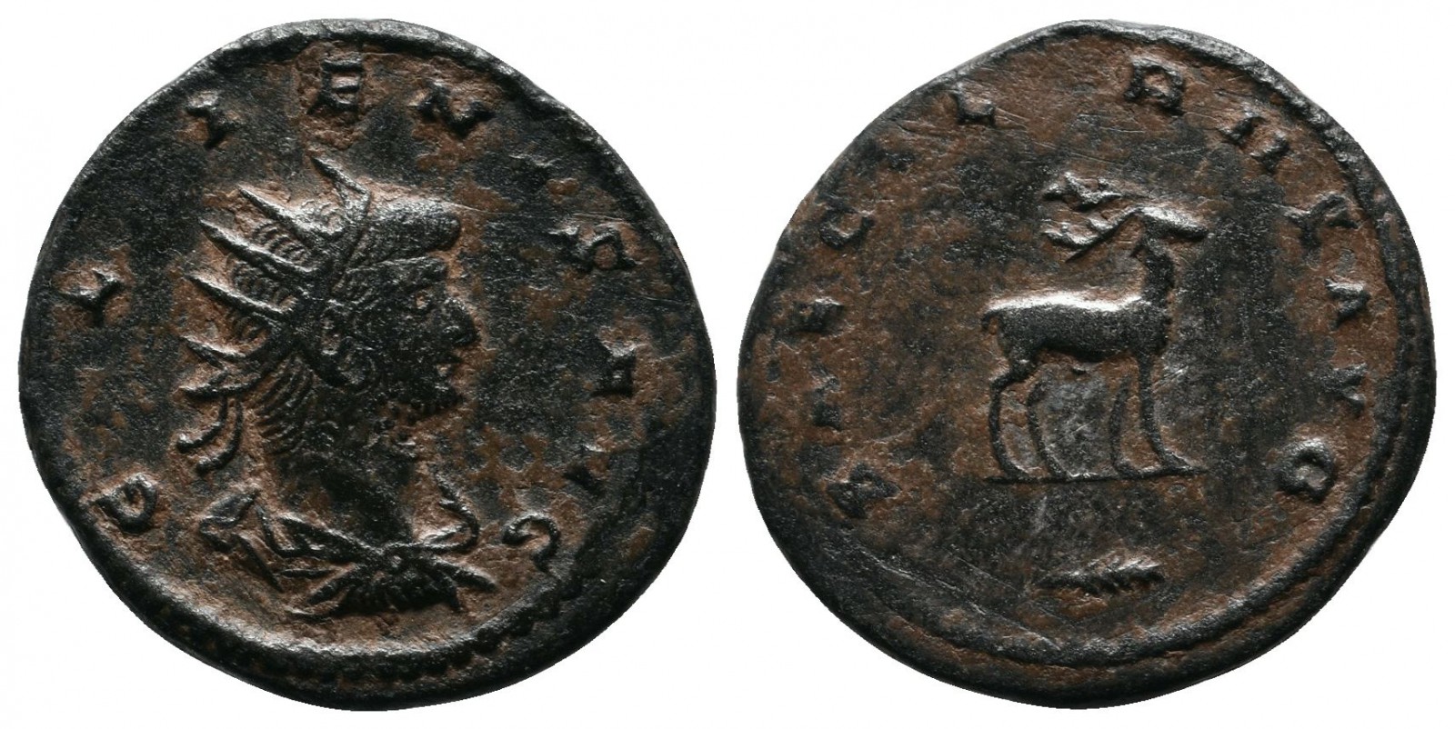 Gallienus  SAECVLARHS AVG antoninianus.jpg