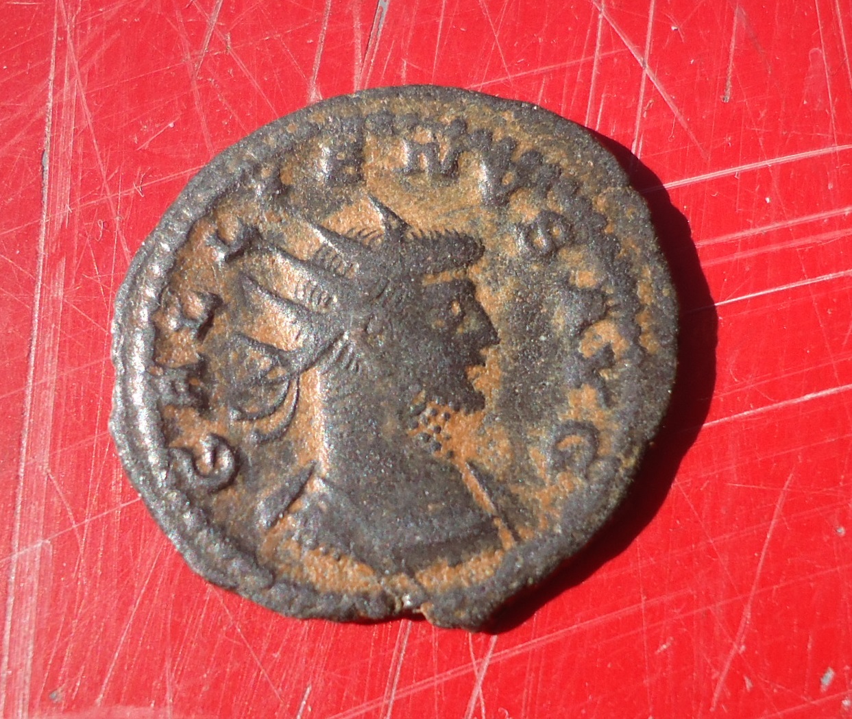Gallienus - SALVS Apollo Ant Feb 2018 (2).JPG