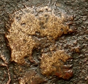 gallienus snarl.jpg