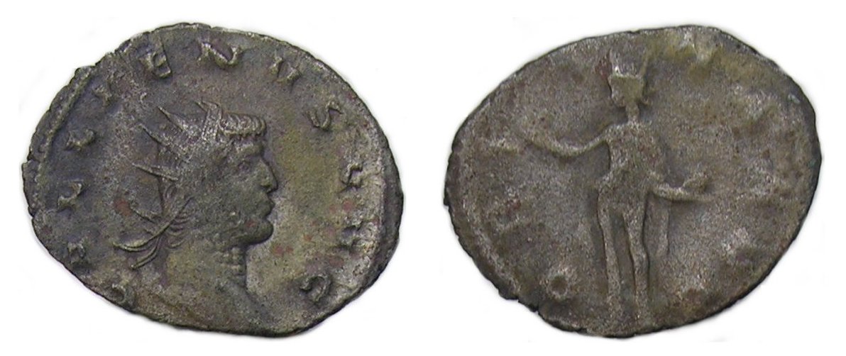 gallienus-sol-reshoot.jpg