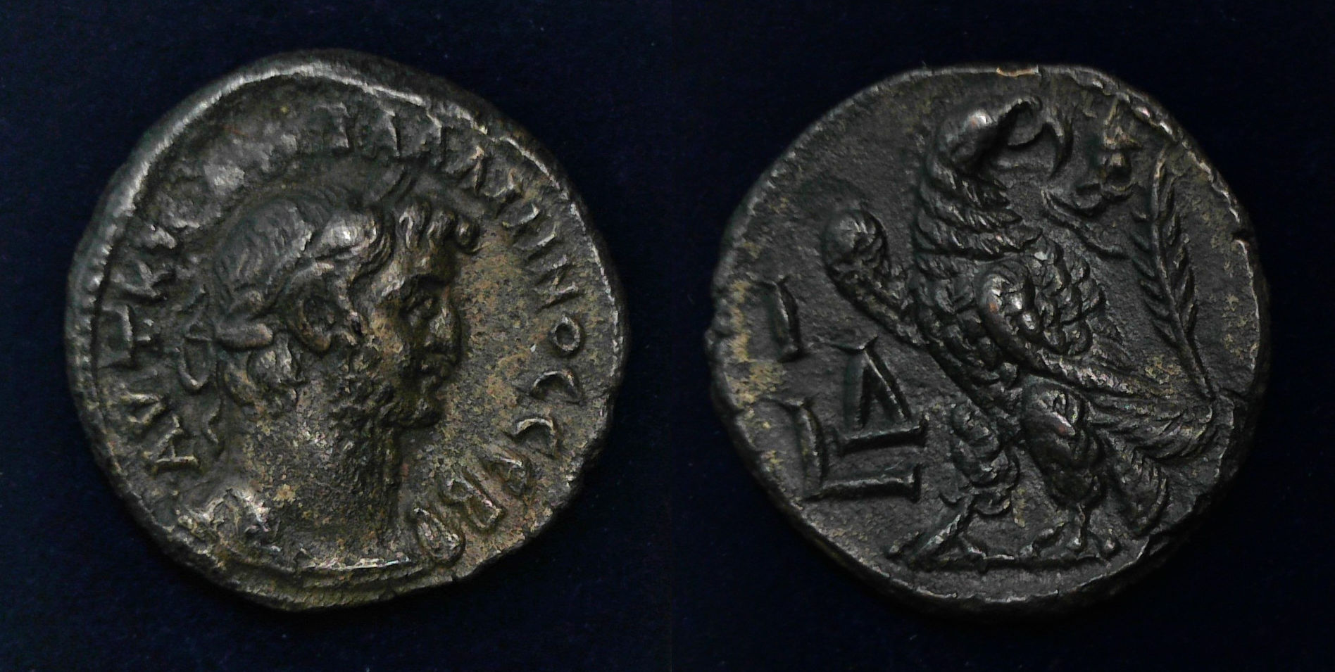 Gallienus Tet Eagle.jpg