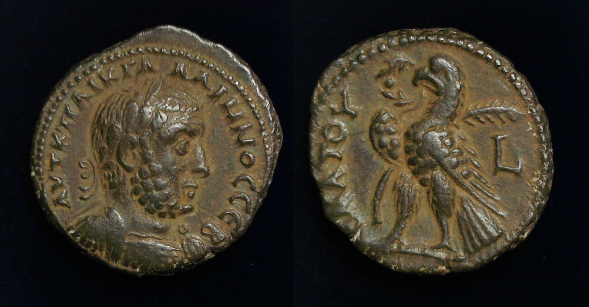 Gallienus Tetradrachm.jpg