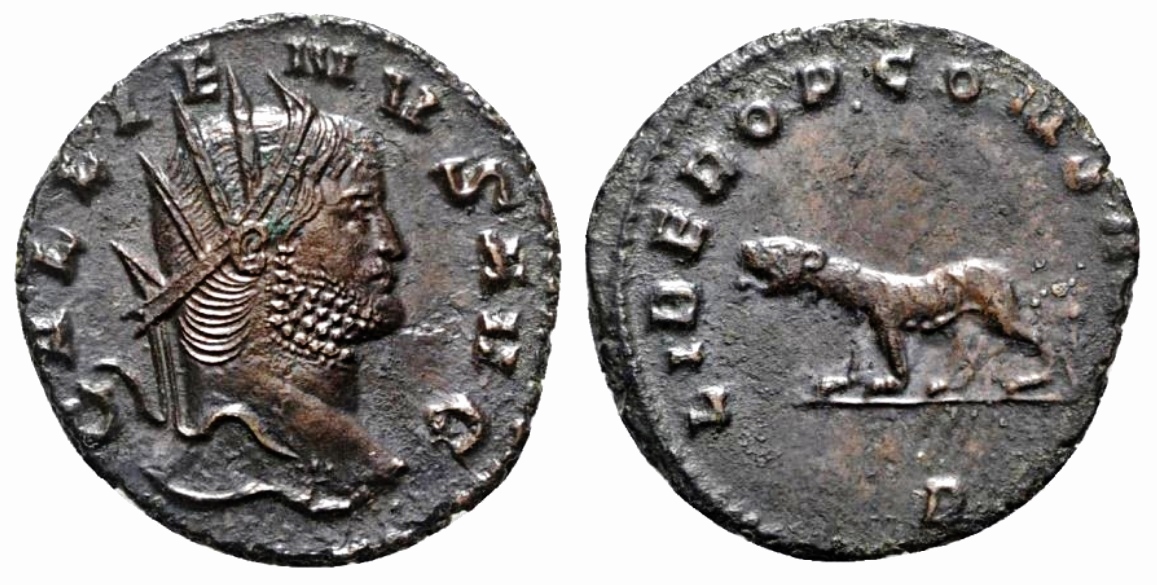 Gallienus - Tigress - jpg version.jpg