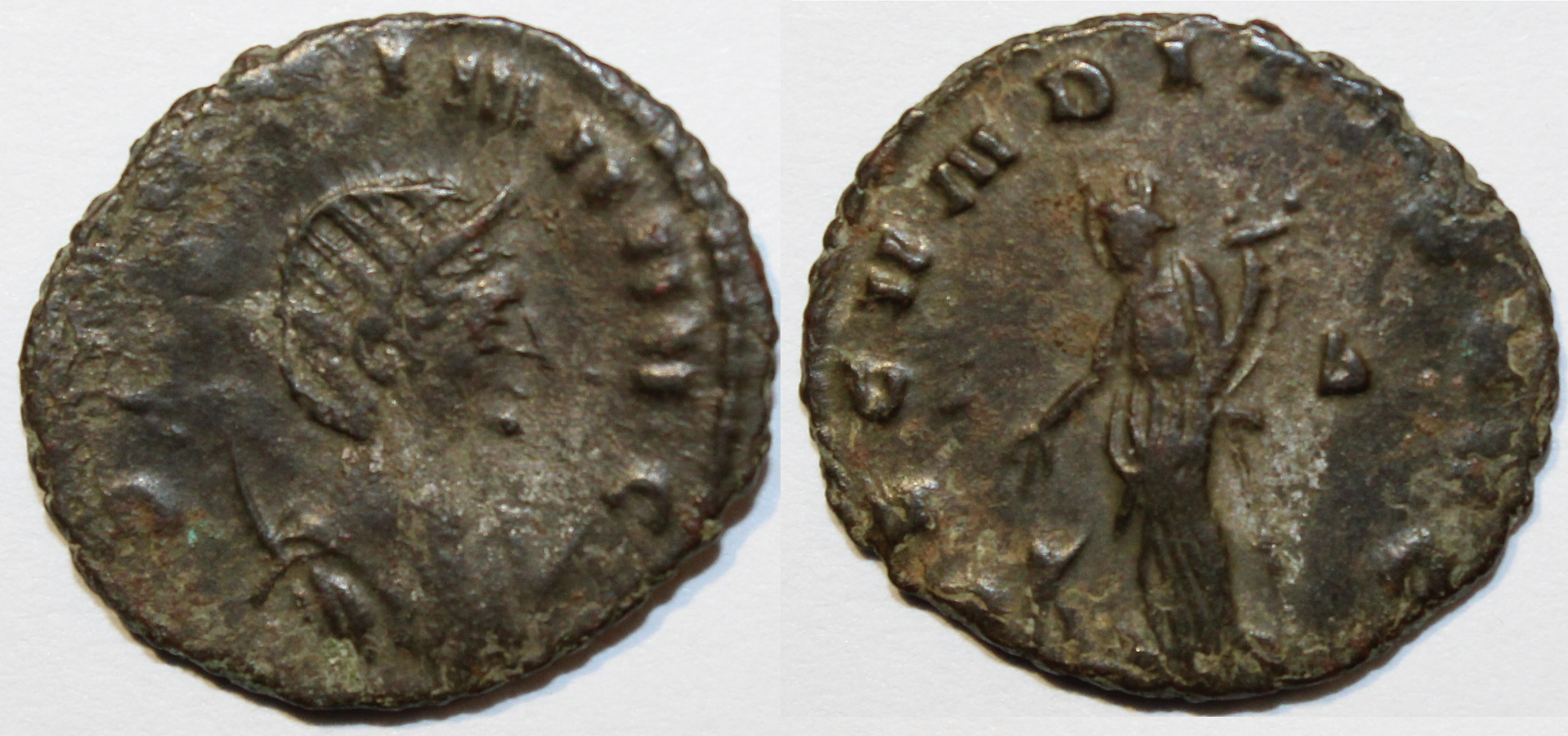 Gallienus' Wifuuu.png