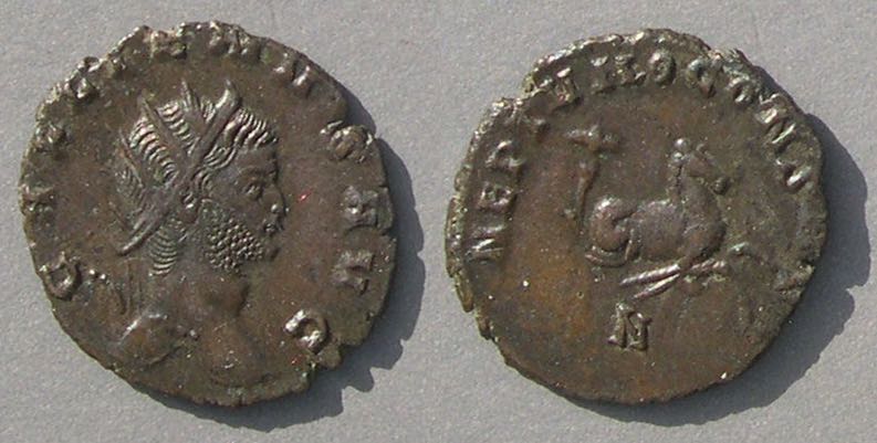 Gallienus1ZooNEPTVNOCONSAVGhippocamp8808.jpg