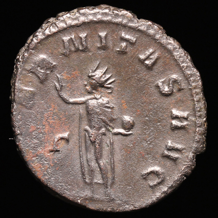 Gallienus425xSSolR2.jpg