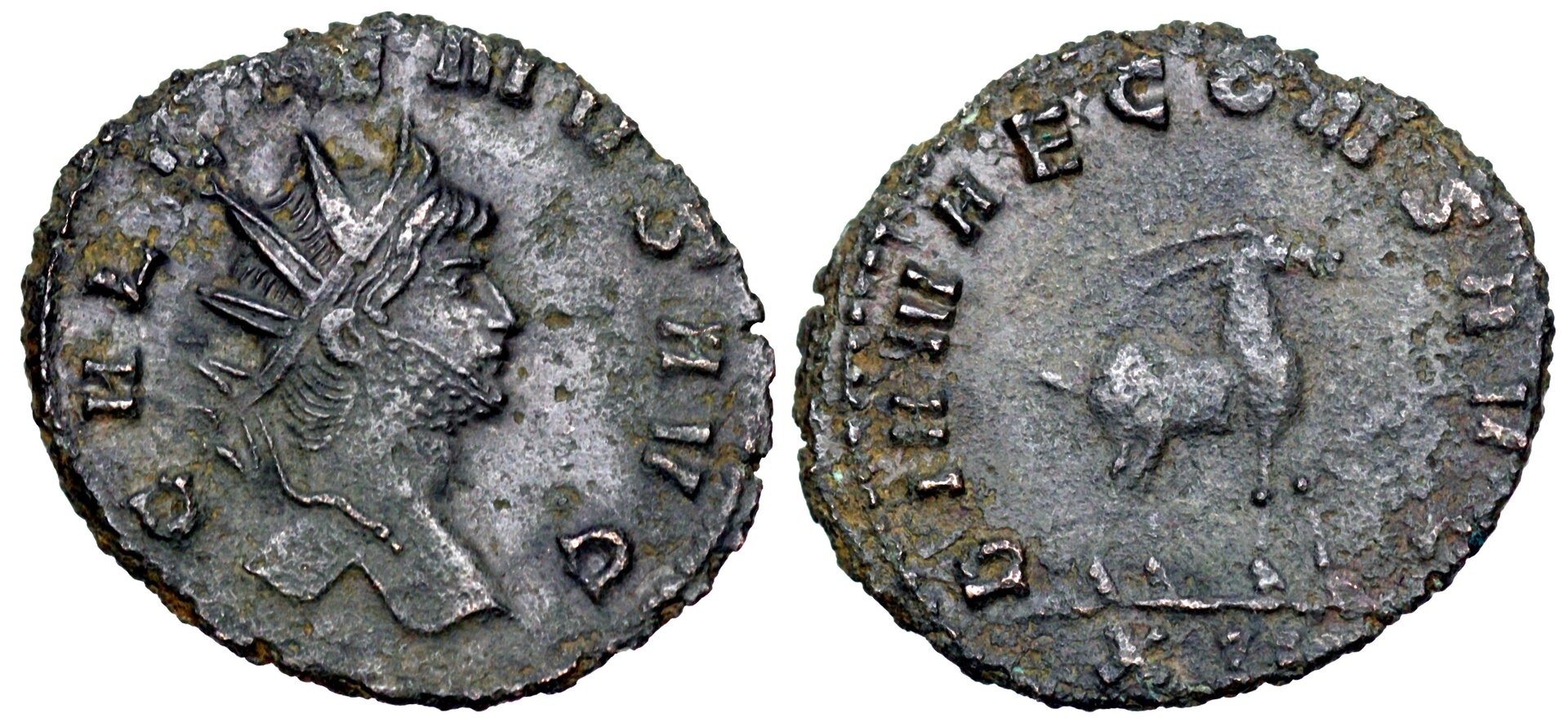 Gallienus_Rome181.JPG