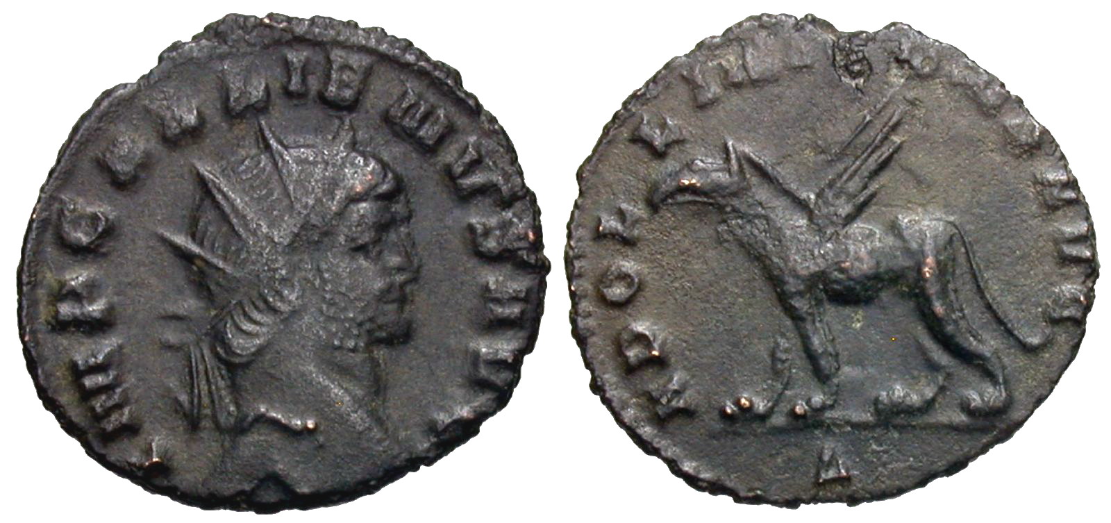 Gallienus_Rome_165.jpg