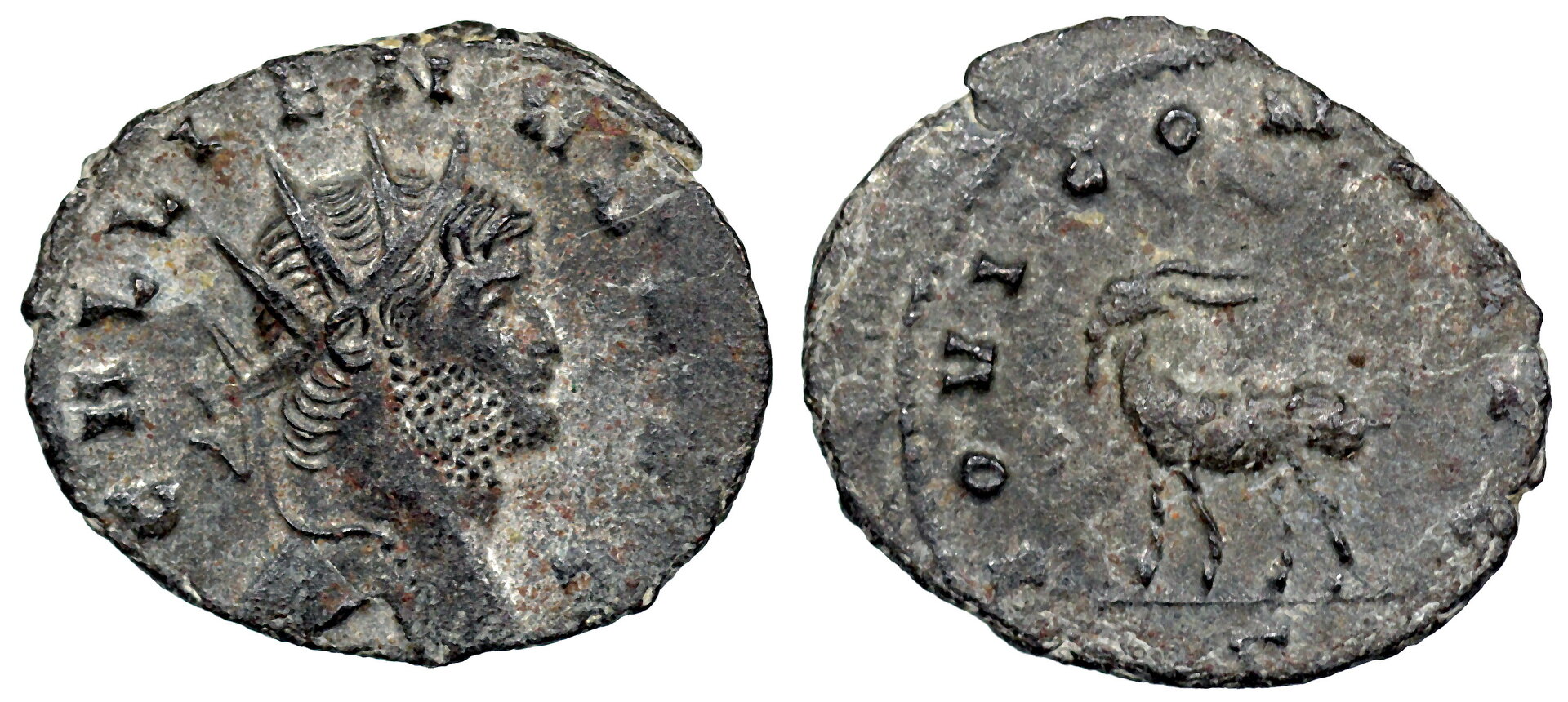 Gallienus_Rome_207.jpg