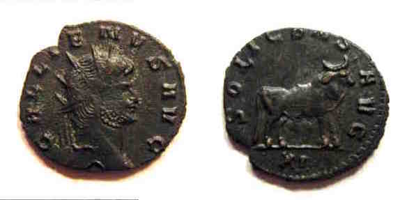 GallienusBull.jpg