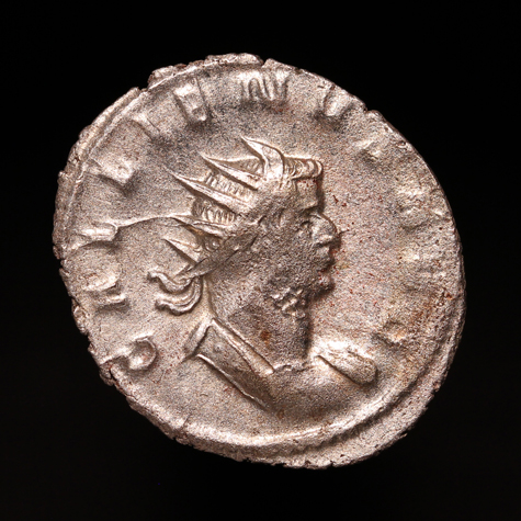 GallienusBull475O1.jpg