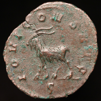 GallienusGoat339xR.jpg