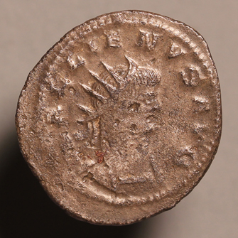 GallienusHerkulesAppleO1x335.jpg