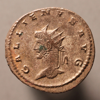GallienusLeftLion340O_edited-1.jpg