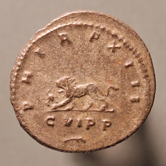 GallienusLeftLion340Rx2_edited-1.jpg