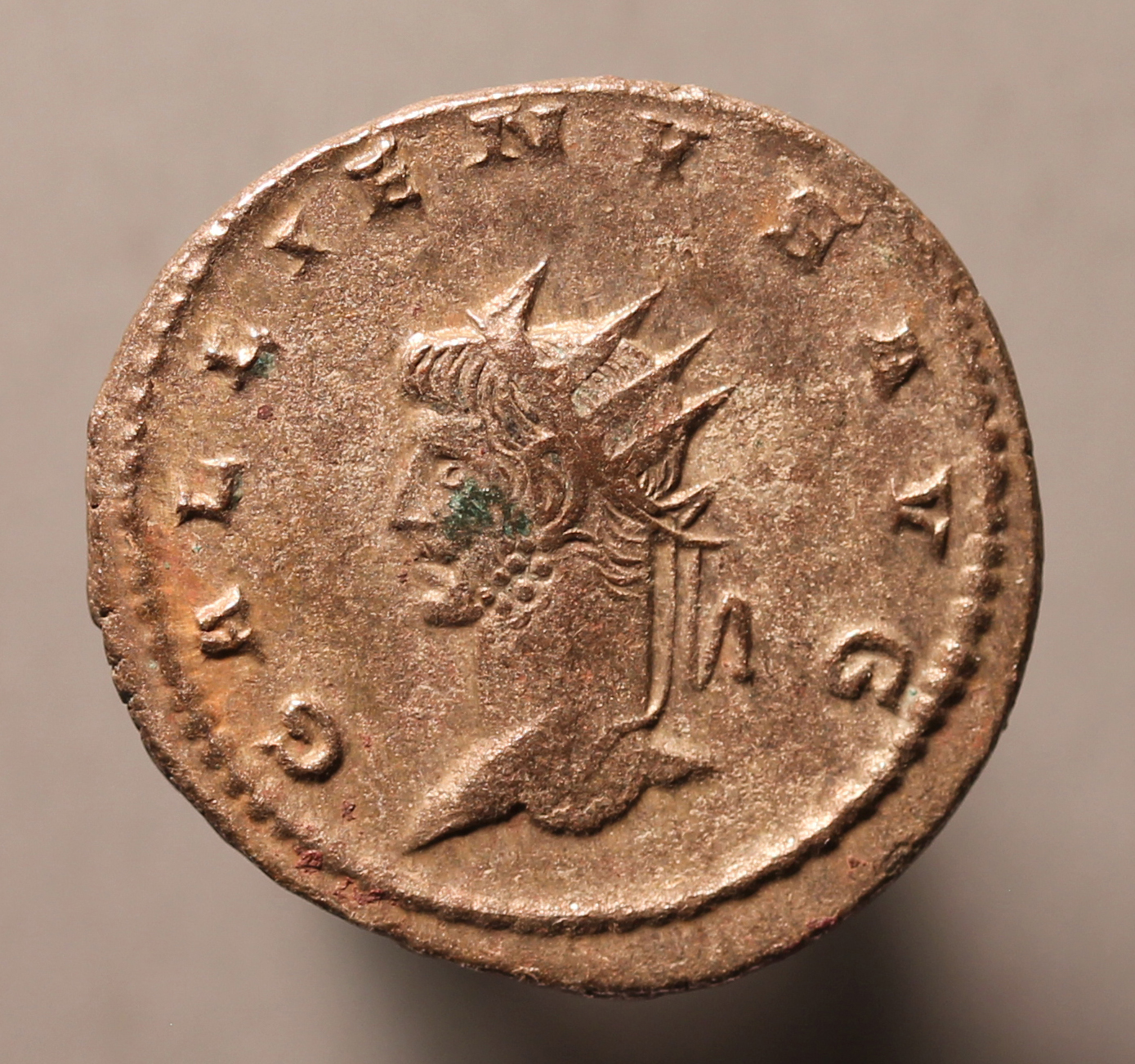 GallienusLeftLionO.jpg