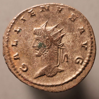 GallienusLeftLionO2_edited-1.jpg