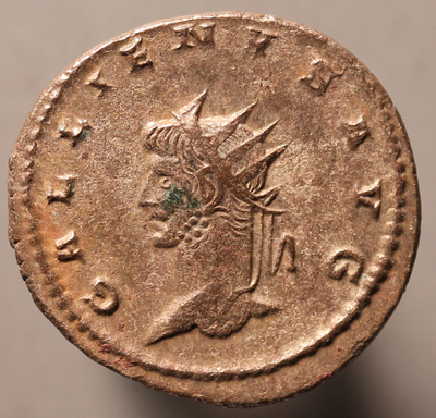 GallienusLeftLionO400.jpg