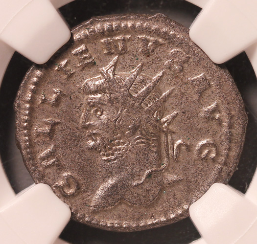 GallienusLeftLionO525_edited-1.jpg