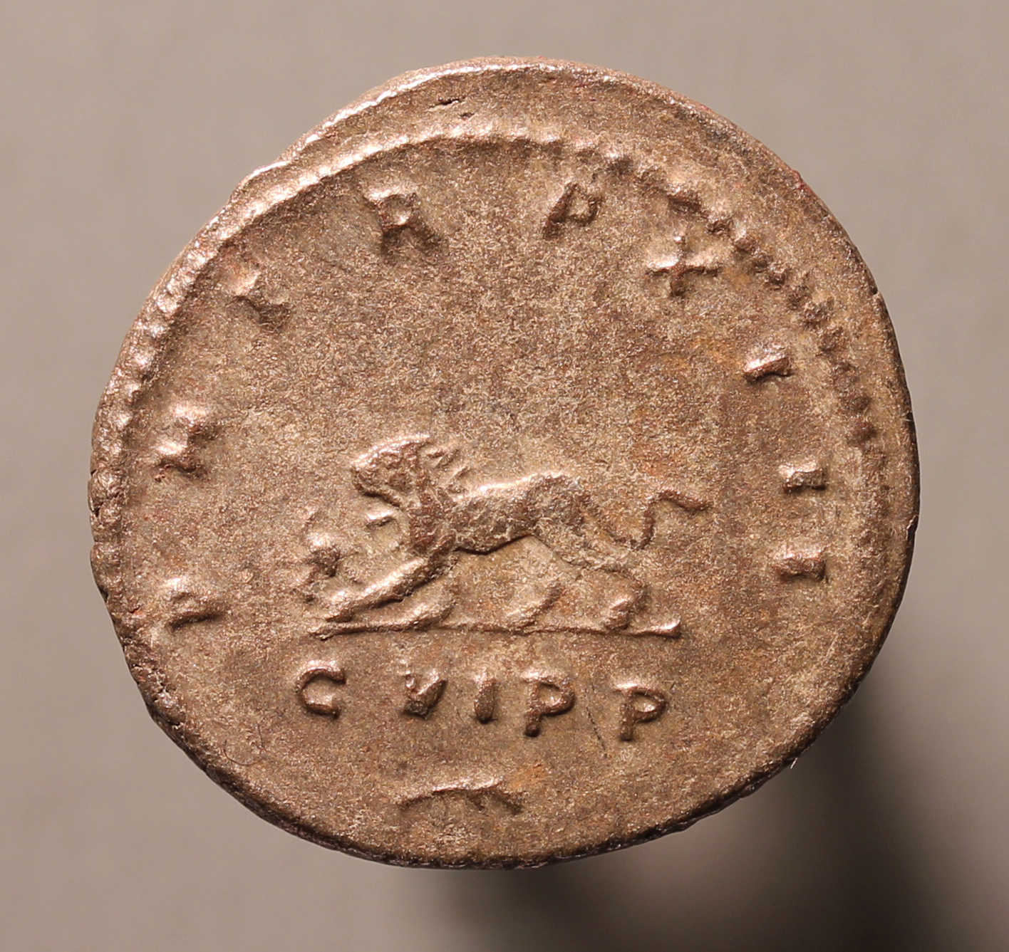 GallienusLeftLionRx1.jpg