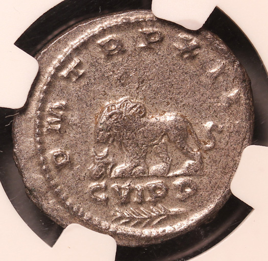 GallienusLeftLionRx2x400.jpg