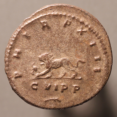 GallienusLeftLionRx3_edited-1.jpg