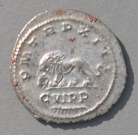 GallienusLionR.jpg