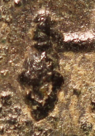 GallienusMercuryCU_edited-1.jpg