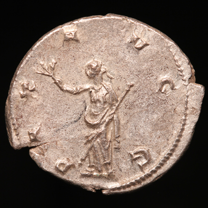 GallienusPaxAVGG425xR.jpg