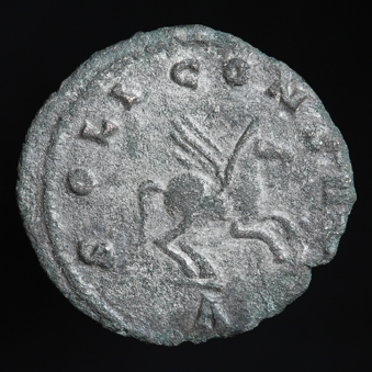 GallienusPegasus339R.jpg