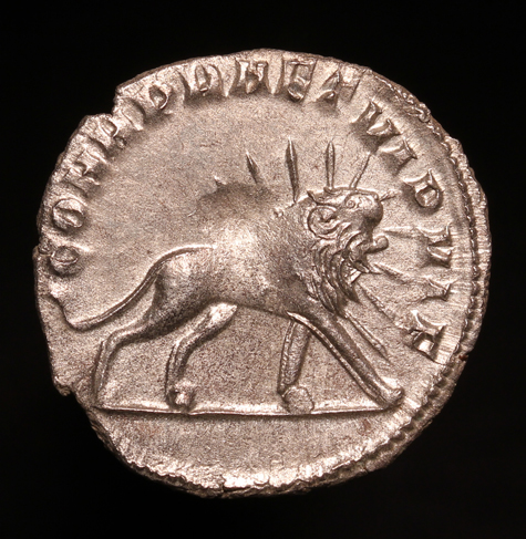 GallienusRadiateLion475R2.jpg