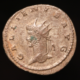 GallienusSmLion339xO.jpg