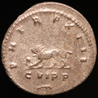 GallienusSmLion339xR.jpg