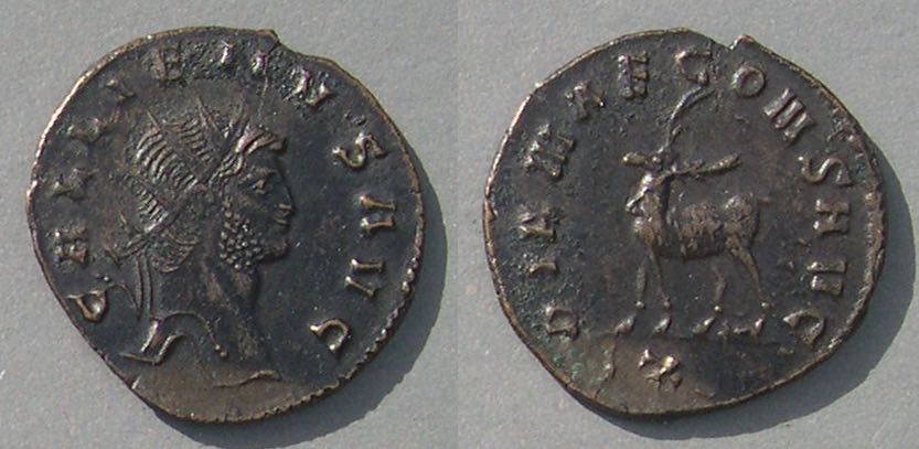 GallienusZooDIANAEstag88153.jpg