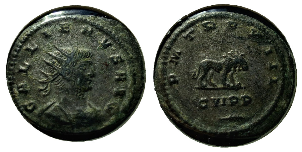 GALLIENVS AVG - P M TR P XIII.jpg