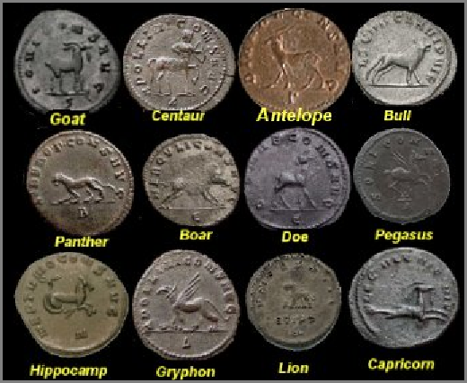 gallienvs zoo.png