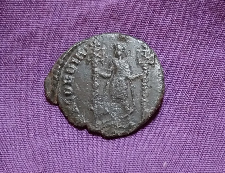 gallus concordia militum.jpg