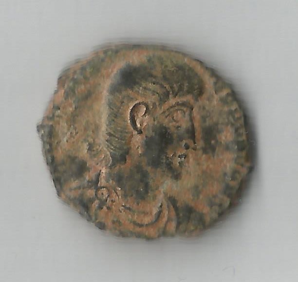 Gallus O 002.jpg