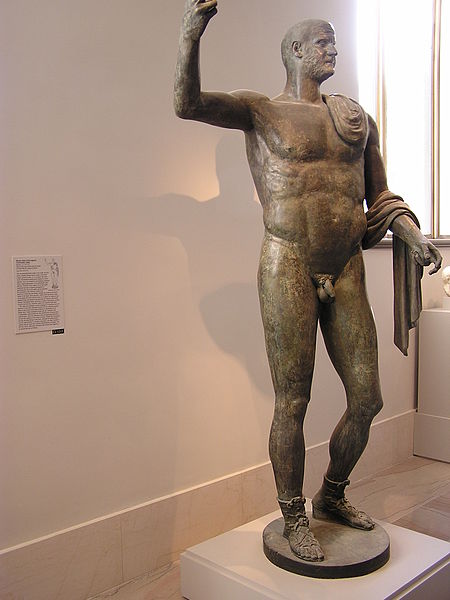 gallus1.jpg