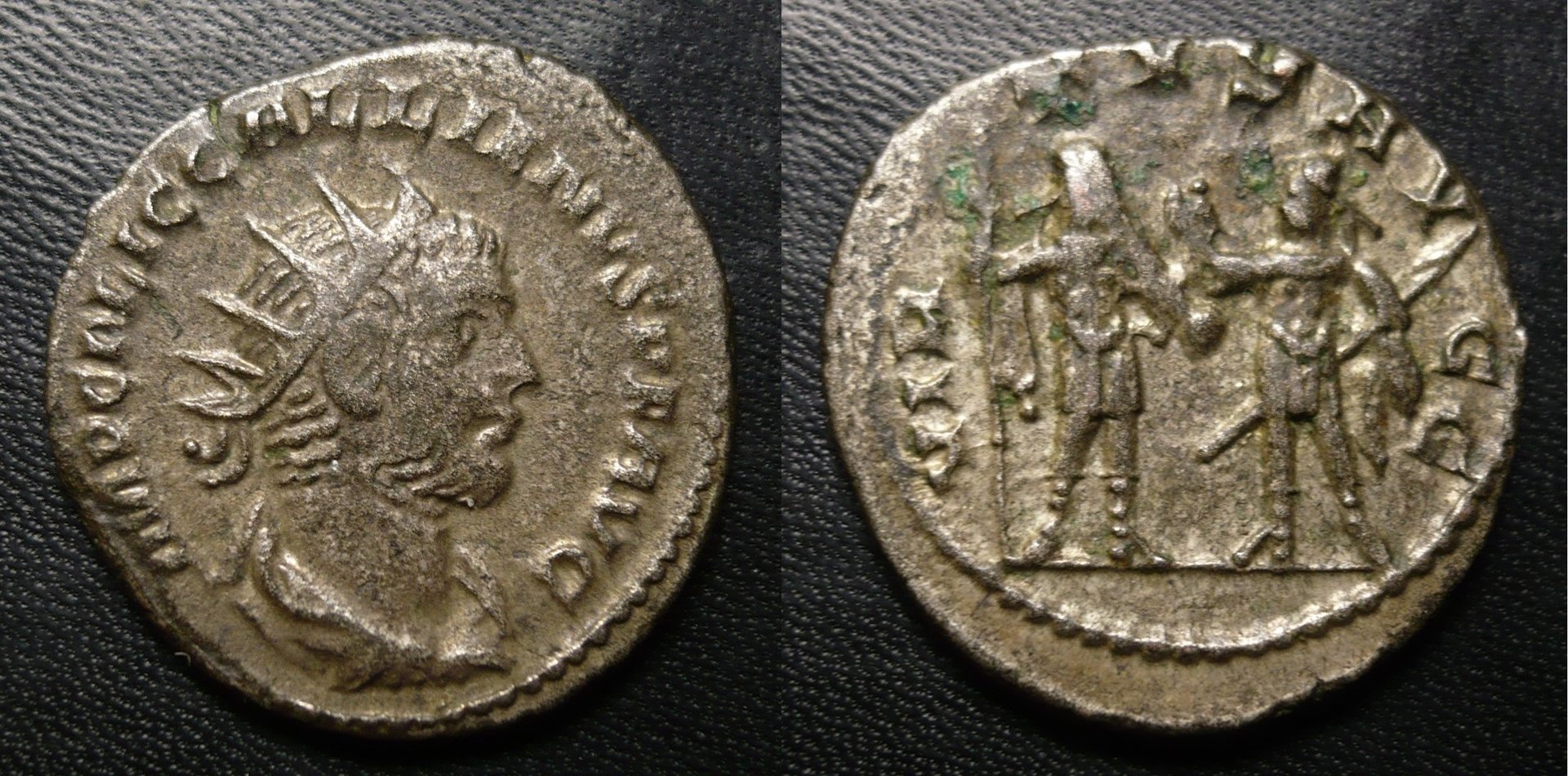 galvirt.jpg
