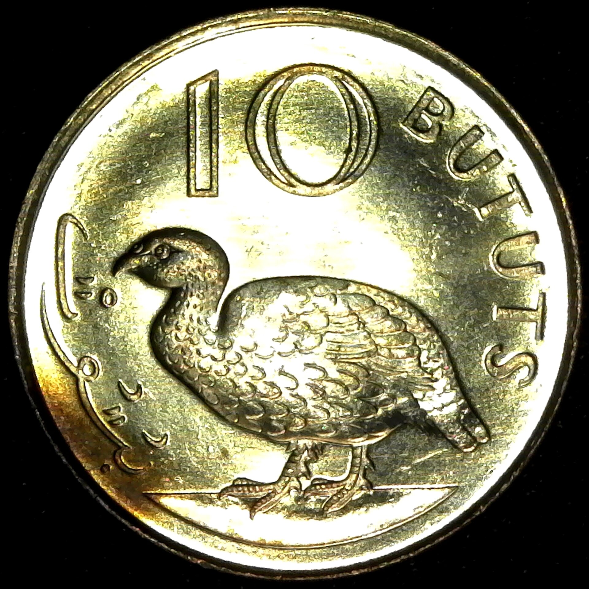 Gambia 10 Bututs 1998 obv.jpg