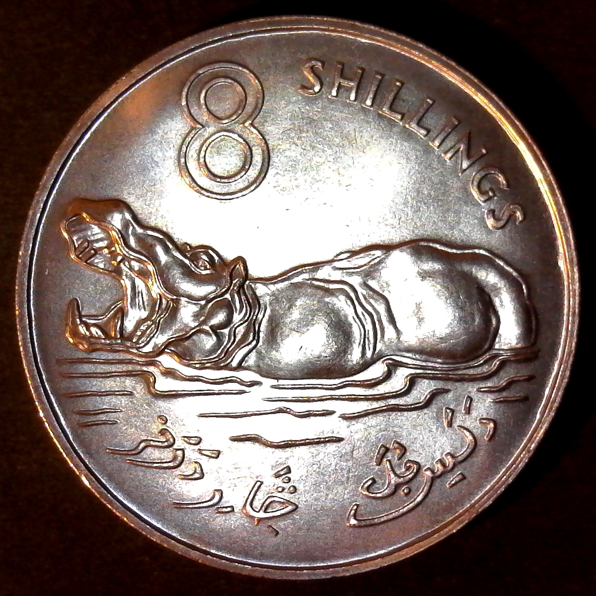 Gambia 8 Shillings 1970 obverse.jpg