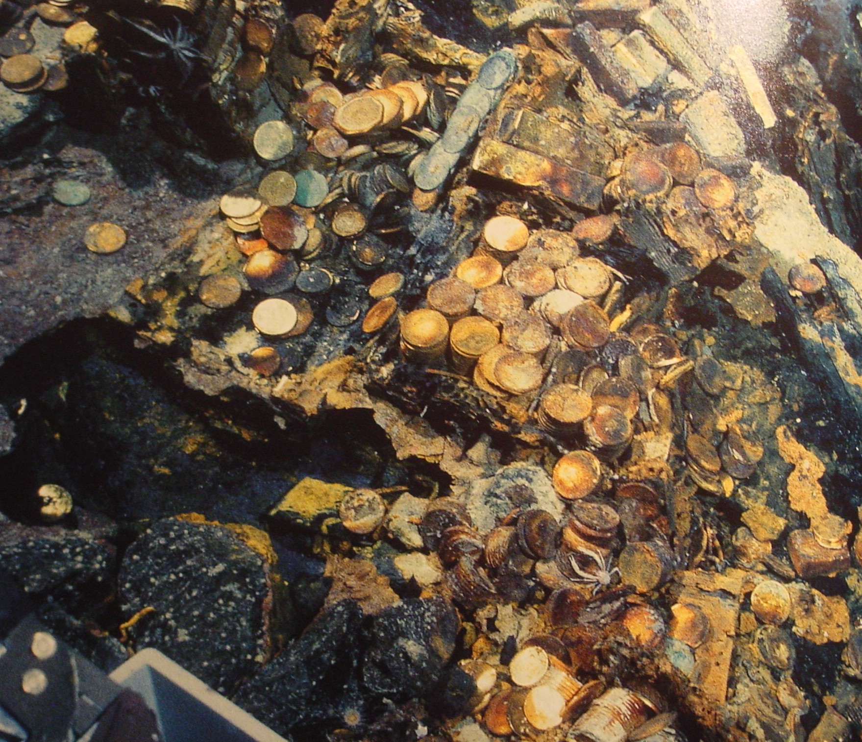 Garden of Gold 2.jpg