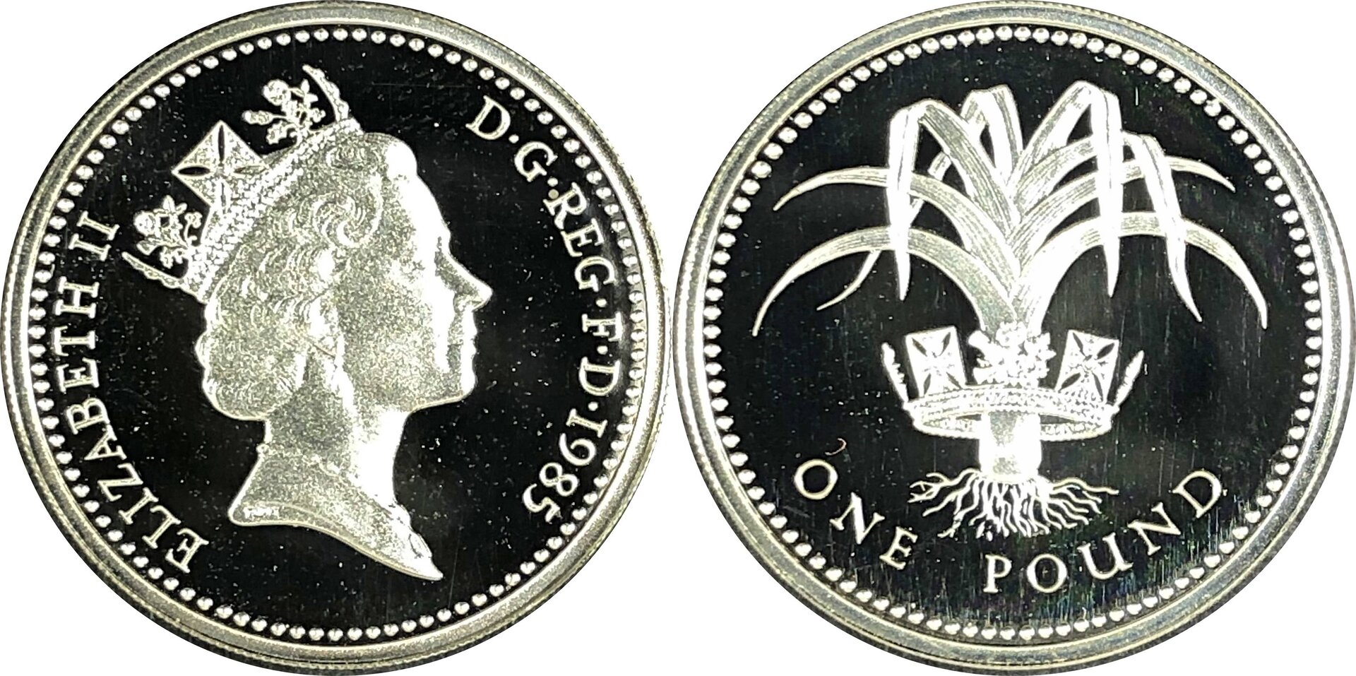 GB198503.jpg
