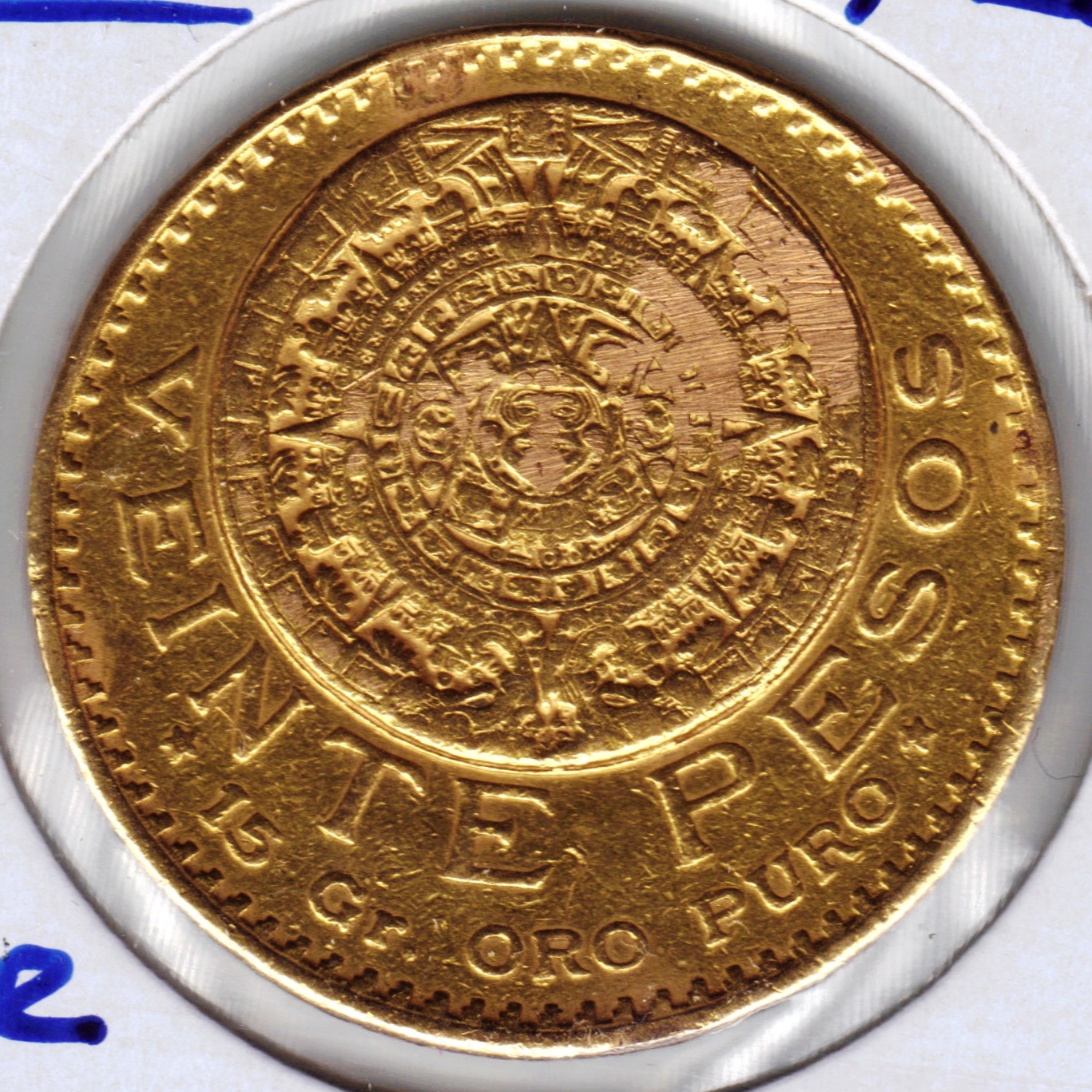 GBMEX009#1.JPG