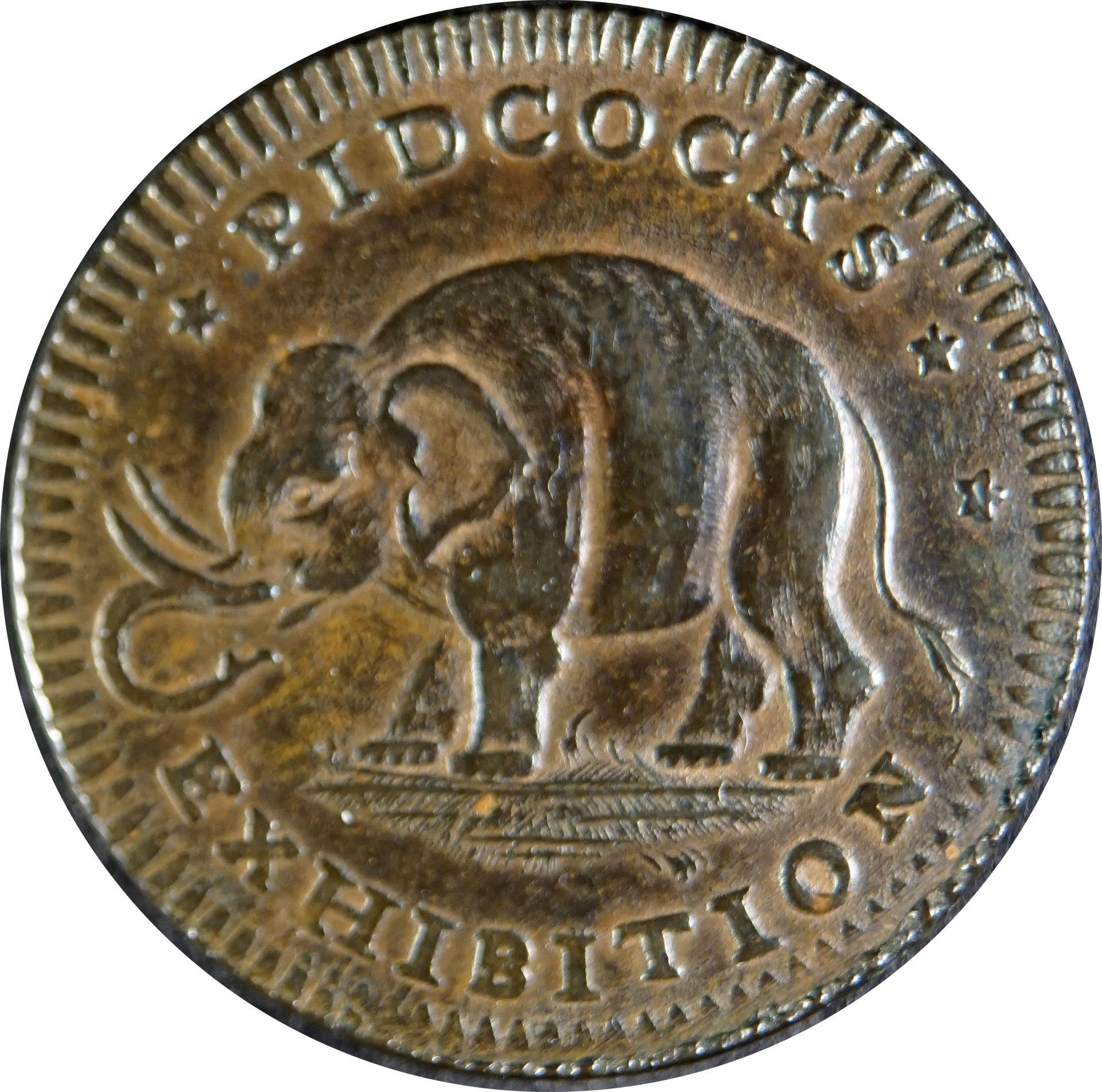 GBPidcock179001.JPG
